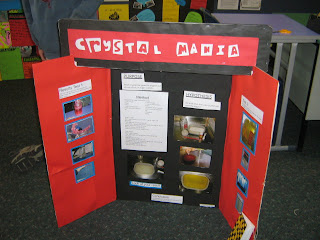 Room 18: Science Fair!!!!!