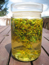 hypericum oil for the healing balm before it turned red