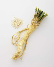 Horseradish root