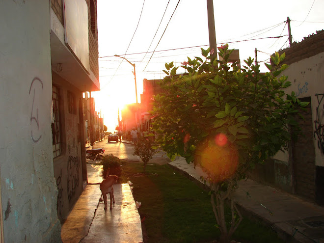 26,27 febrero,Ultimos Avistamientos Esferas Ovni Huacho,Peru 2010,x Rodolfo Trujillo Diaz,26feb,ufo