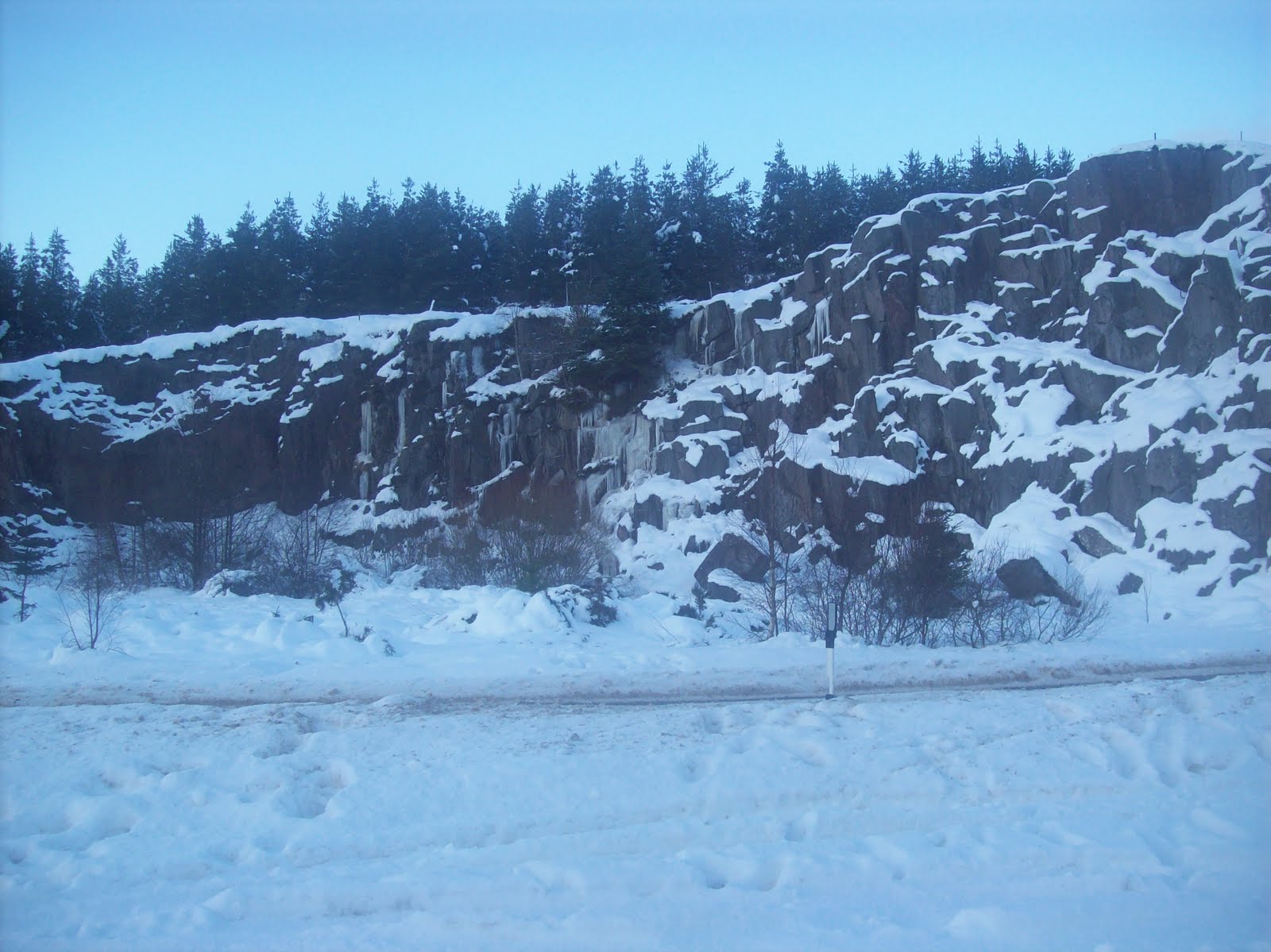 [100_0355.JPG]