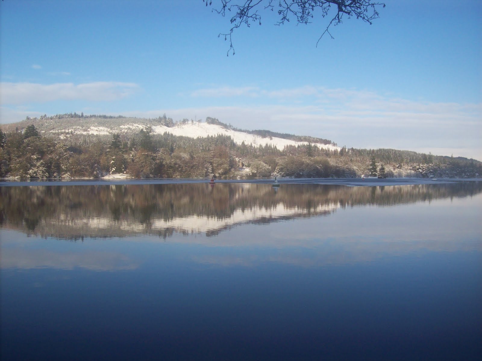 [100_0350.JPG]