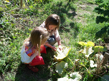 Green Gulch Farm Zen Center Children's Program