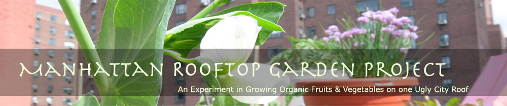 Manhattan Rooftop Garden Project