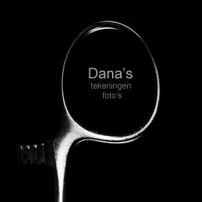 dana's