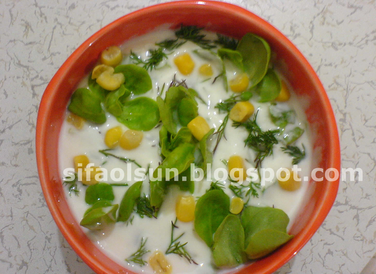 [YoğurtluSemizz.jpg]