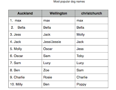 Dog Names That Start With A P لم يسبق له مثيل الصور Tier3 Xyz
