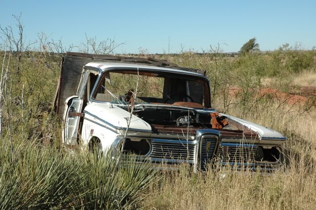 Fabricio Stadler: Jardins do Éden