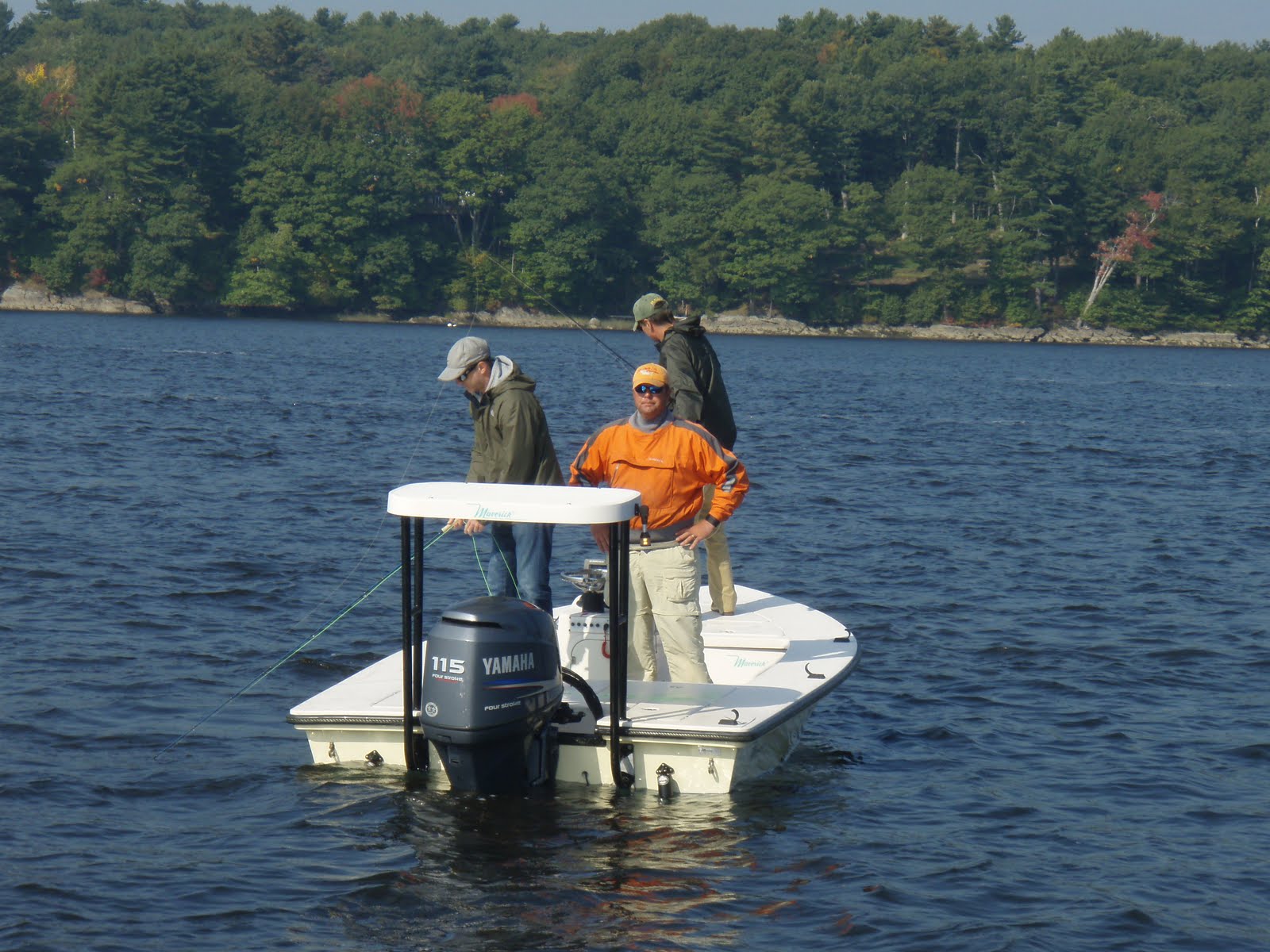 Maine Striper Fishing Charters & Reports Hotline 2076910745 Kennebec