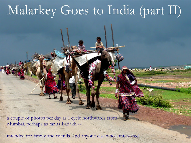 malarkey goes to India (part II)