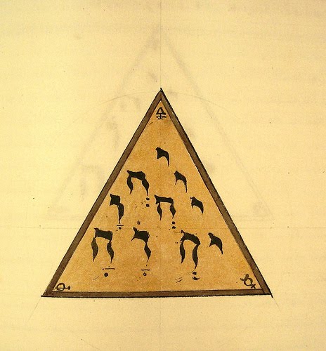 Alchemical Emblems Occult Diagrams And Memory Arts