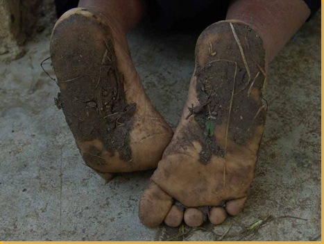 [pies+de+montaÃ±a.jpg]