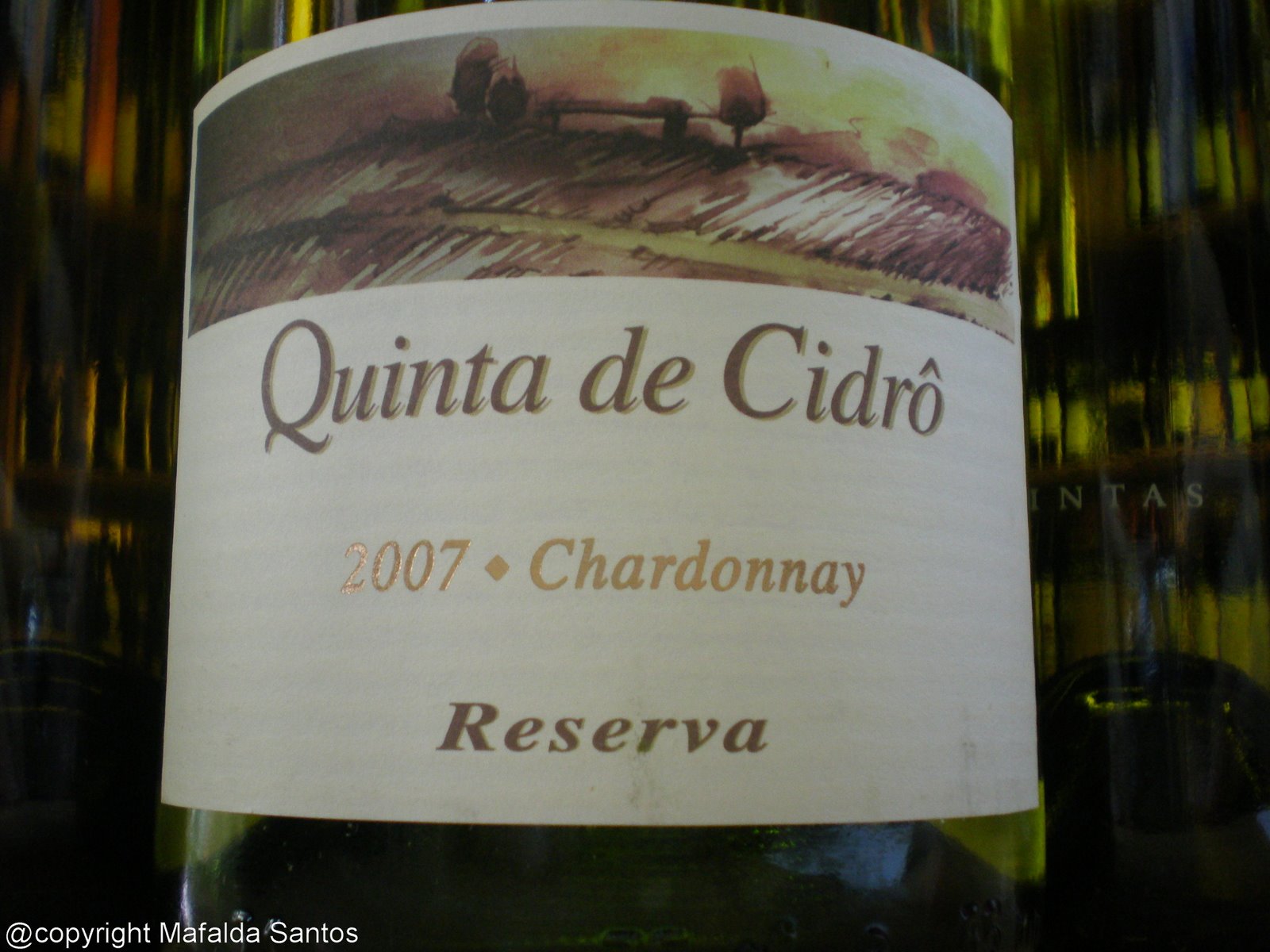 [cidro+chardonnay+07+copy.jpg]
