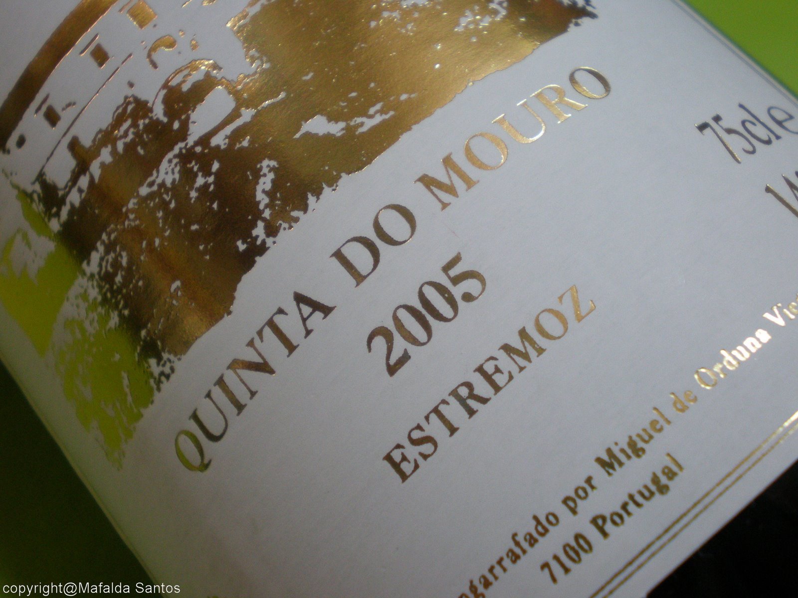 [mouro+gold+05+copy.jpg]