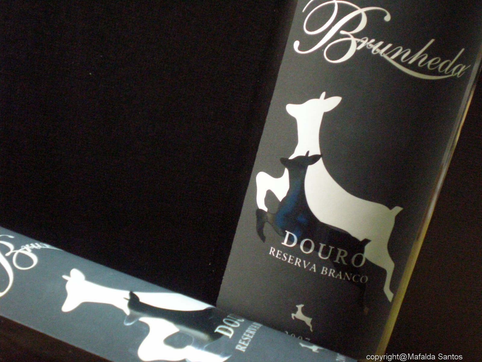 [brunheda+reserva+branco+copy.jpg]