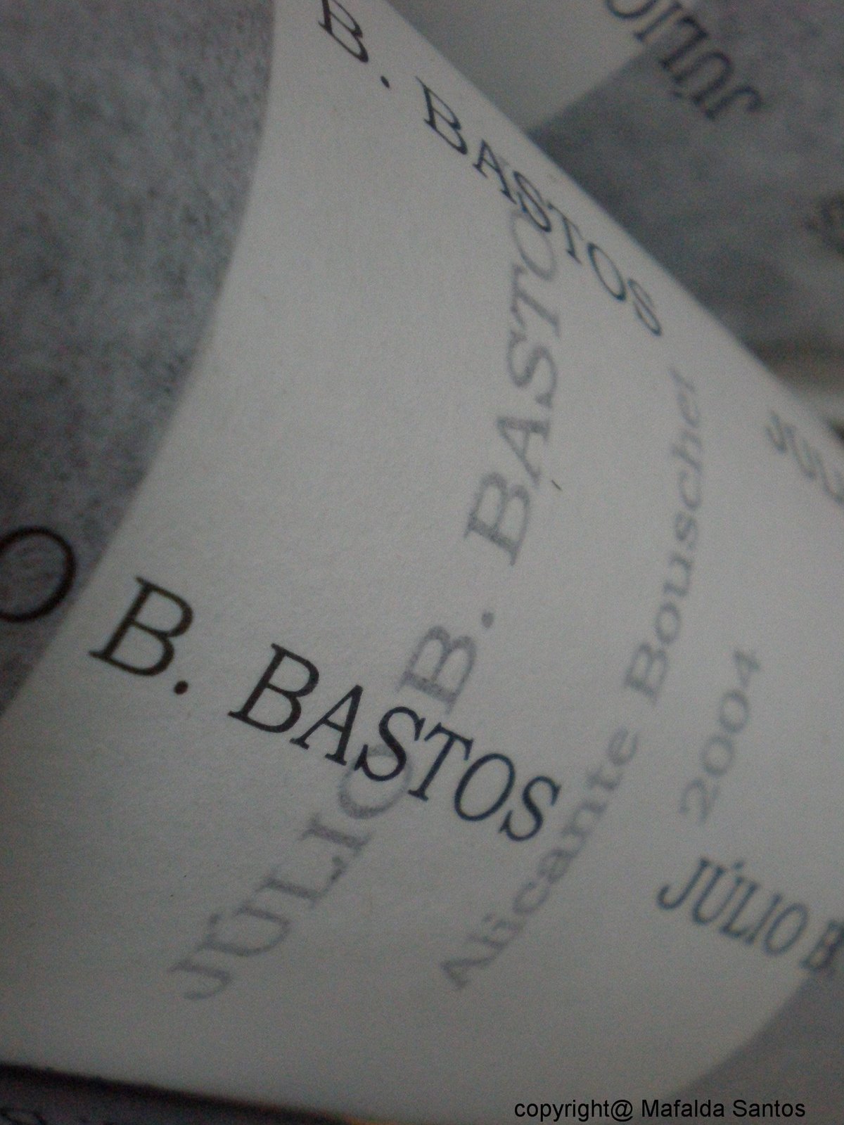 [julio+bastos+copy.jpg]