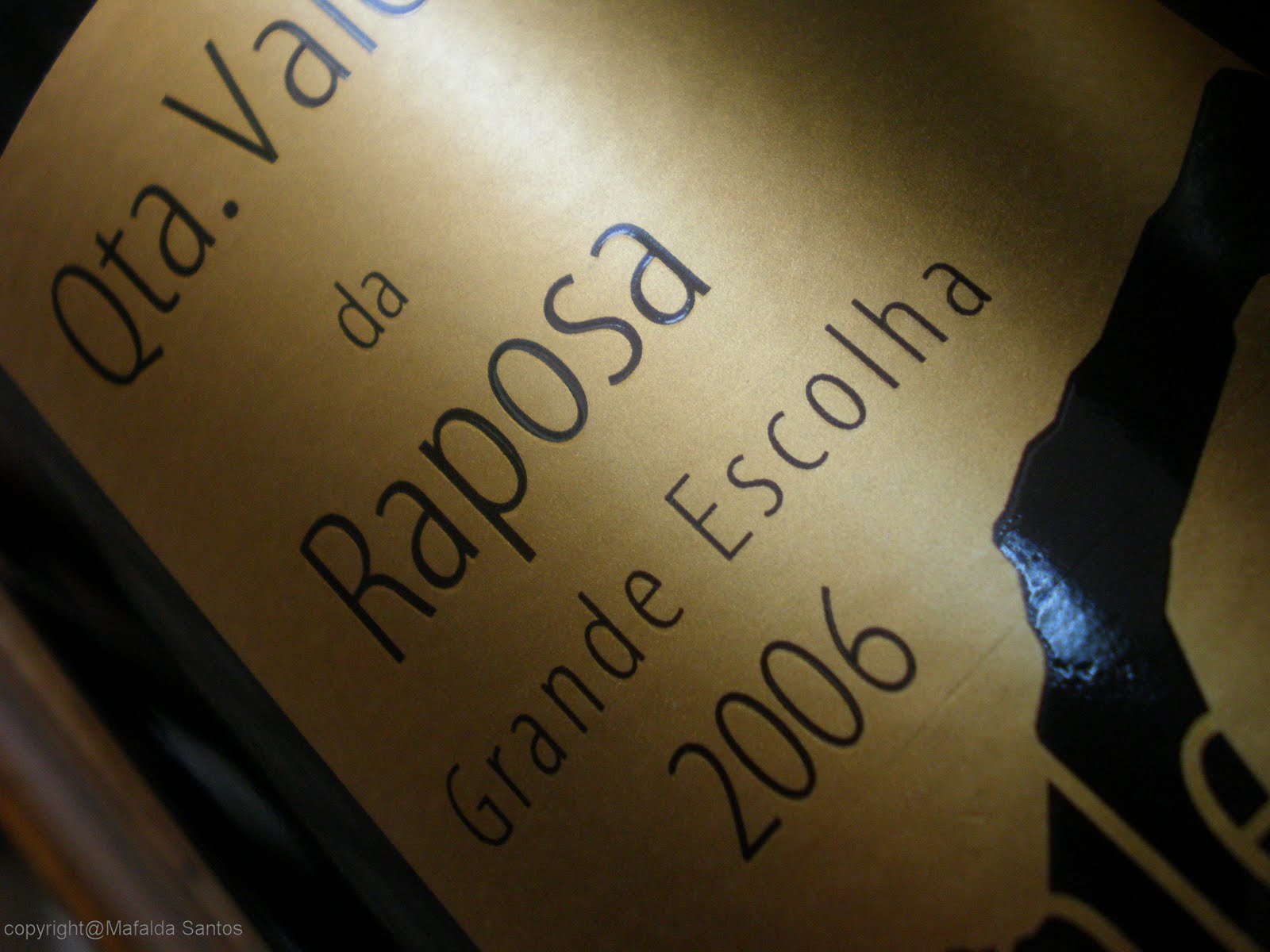 [raposa+gr+esc+06.jpg]