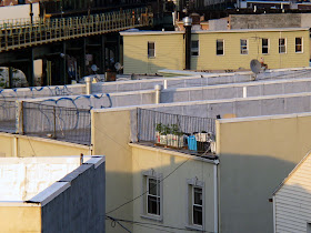 Rooftop Container Vegetable Garden