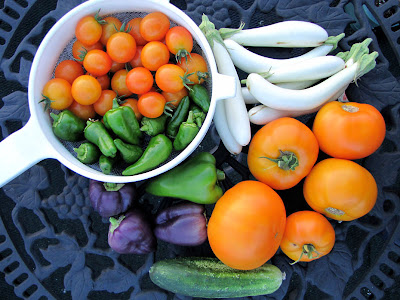 Rooftop Garden Vegetable Harvest