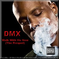 DMX- 2010