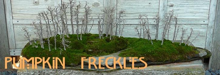 Pumpkin Freckles