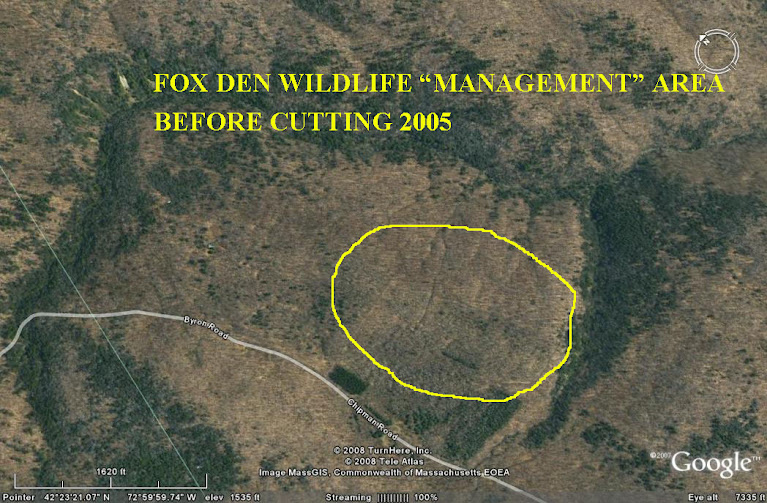 Tree stump removal utah county, Kilgore TX