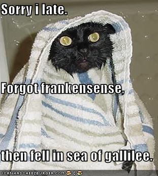 [funny-pictures-late-wet-wiseman-cat.jpg]