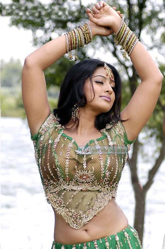Gorgeous Actresses All Over The World Sneha Very Very Hot