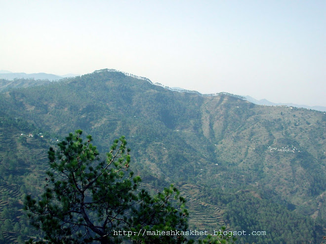 पहाडो की चौडा कसखेत बाजन नेला गांव की तस्वीर