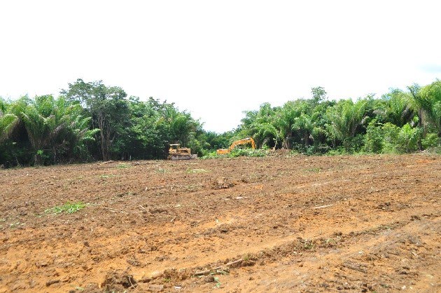 Foto tirada hoje pela manhã (01-07-10) do local onde será construído o conjunto habitacional