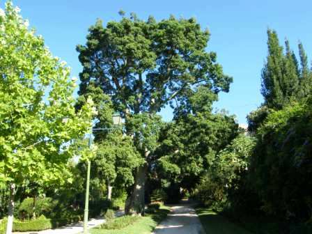 [Abrantes,+jardim+do++castelo+2.JPG]