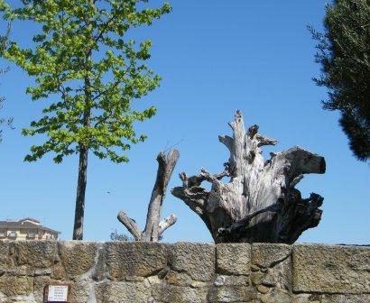[Chaves,+escultura.JPG]
