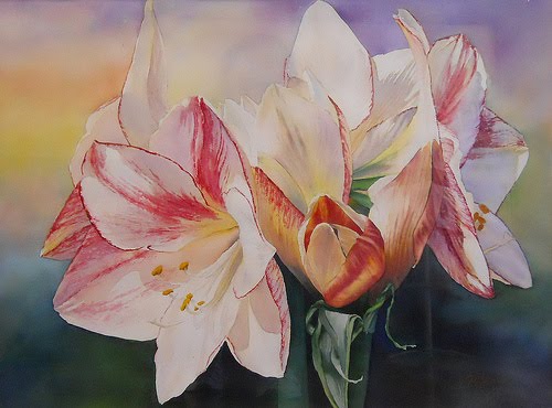 P V Lara Studio: Amaryllis