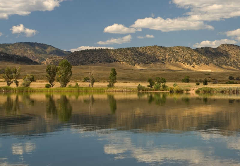 Broomfield Reservoir Habitat Modification