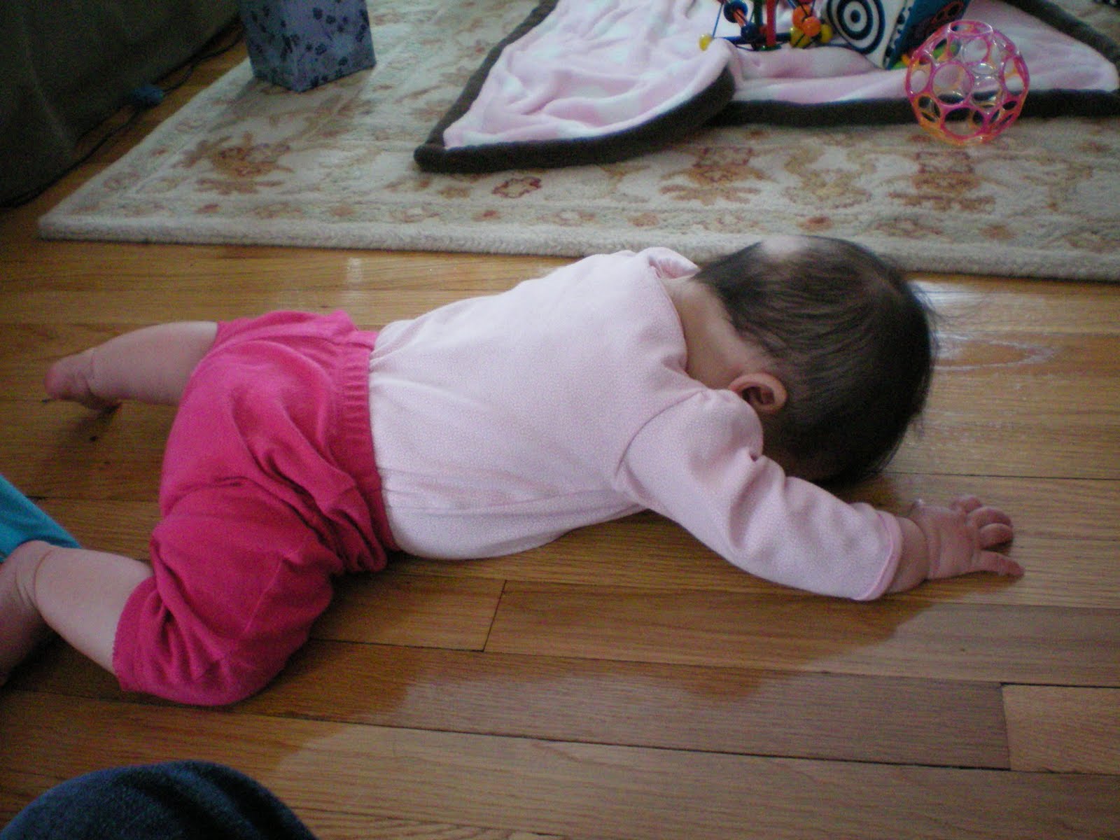 baby eliot Hands and knees