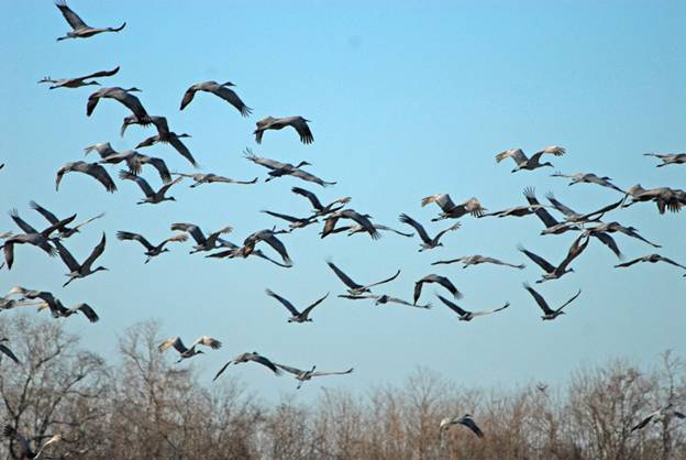 [securedownload+(1).jpg]