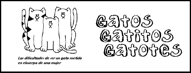 Gatos, gatitos y gatotes
