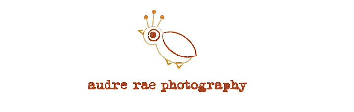audre rae photography