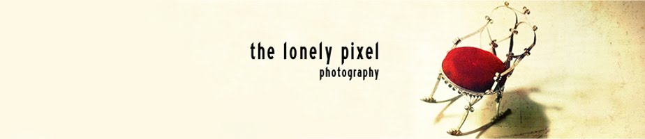 The Lonely Pixel Photography