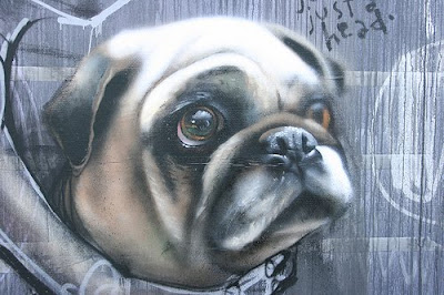 graffiti animals dog