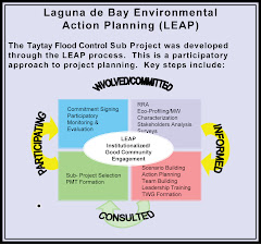 Laguna de Bay Environmental Action Planning