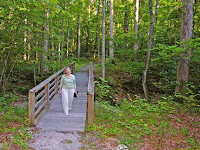 footbridge