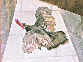 mounted turkey