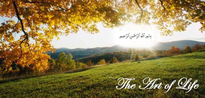 The Art of Life~