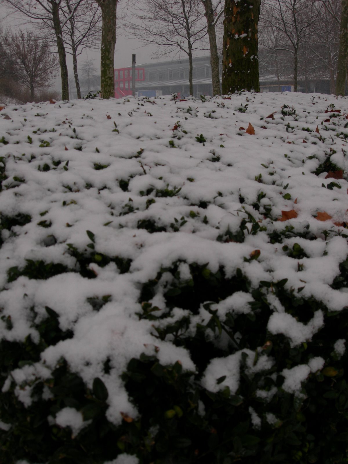 [DSCN0531.JPG]