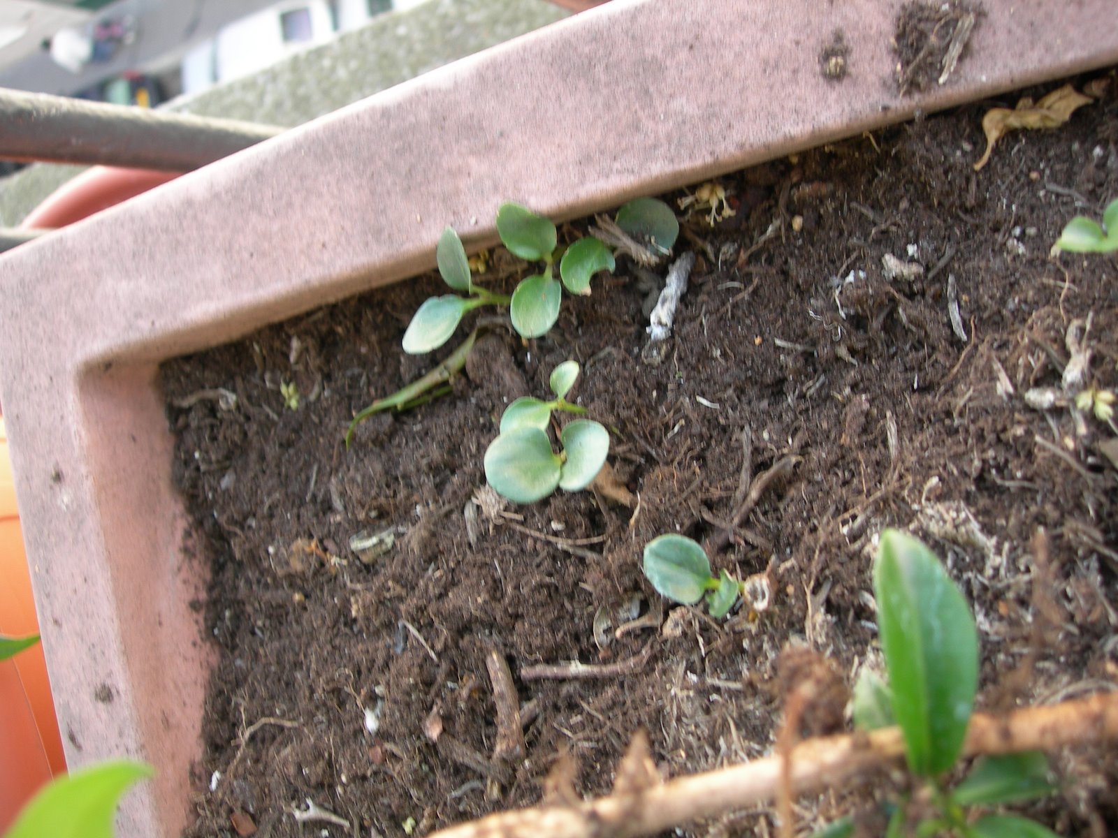 [DSCN1394.JPG]