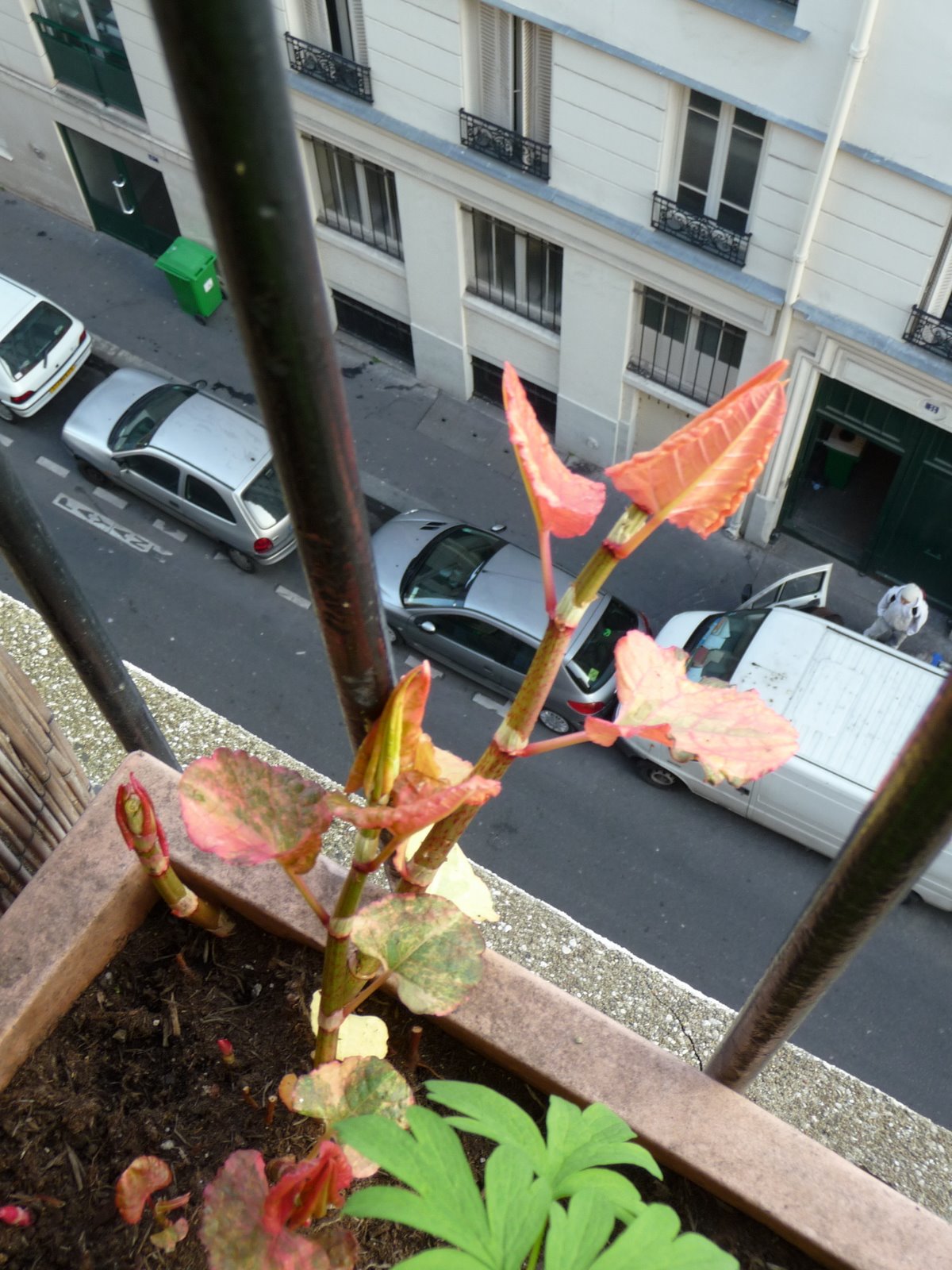 [P1000449.JPG]