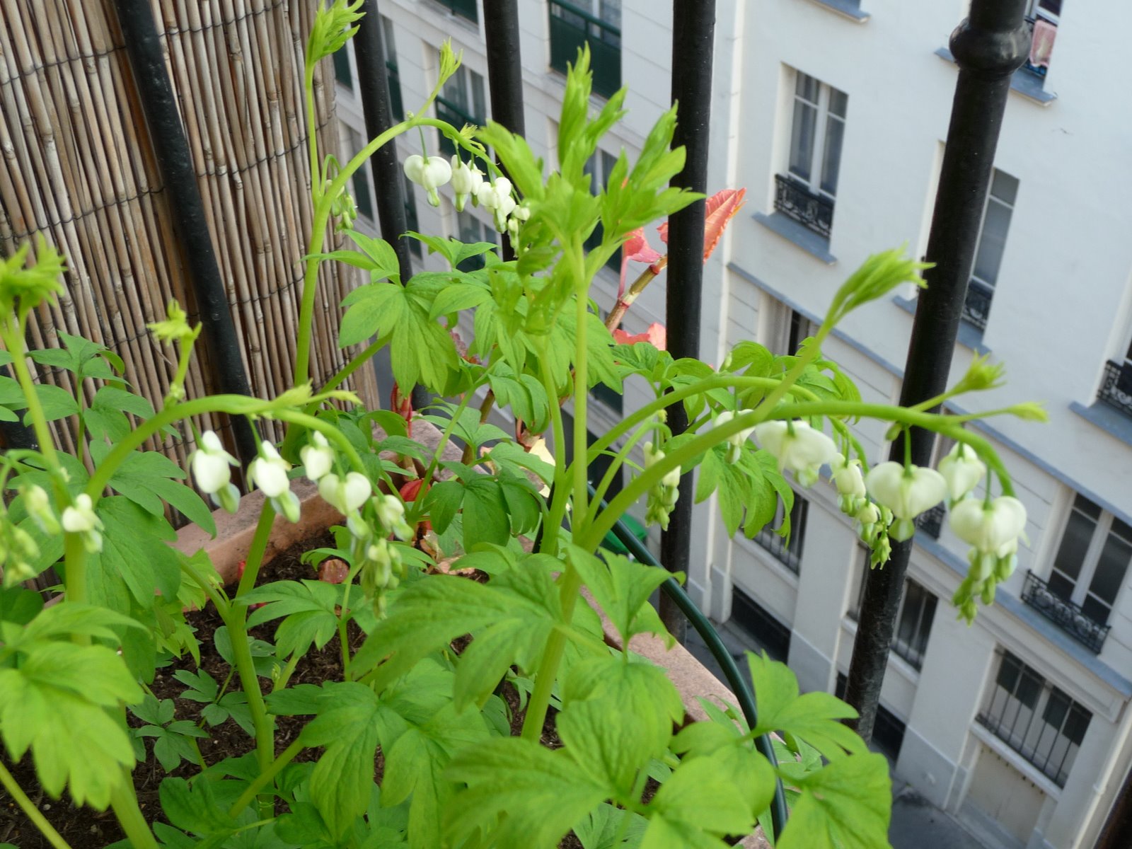 [P1000448.JPG]