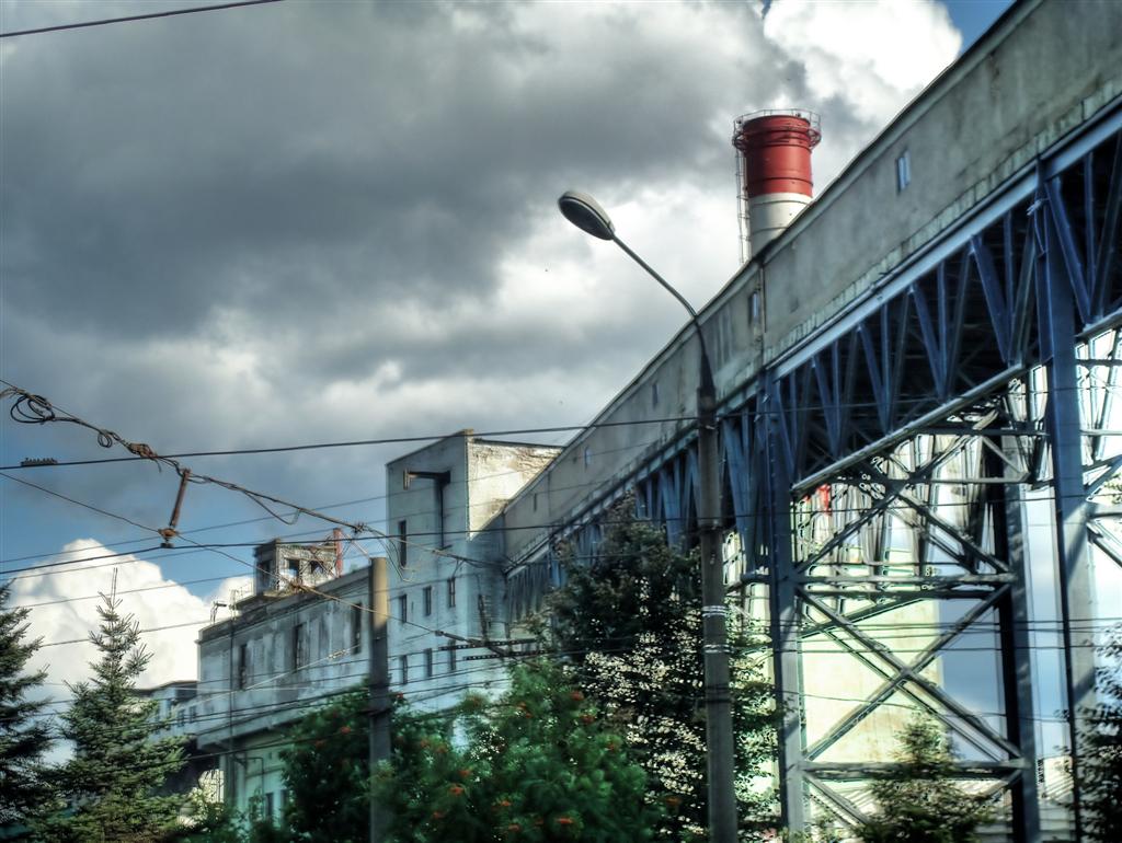 Stray Cat Diaries stray-cat-diaries