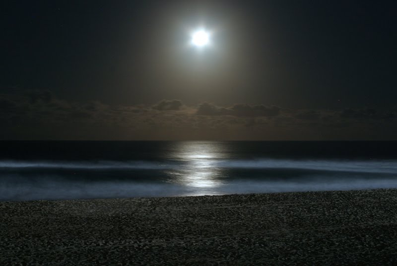 [moonlight_stair.jpg]